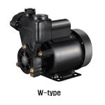 가정용 펌프 PH-150A, W_1